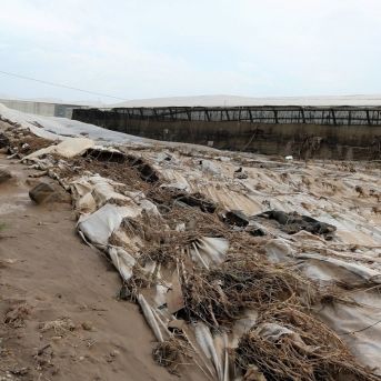 fotonoticia_20251206112853_1920