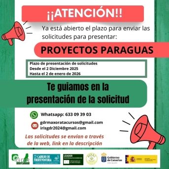 fotonoticia_20251207153452_1920 fotonoticia_20251207153452_1920