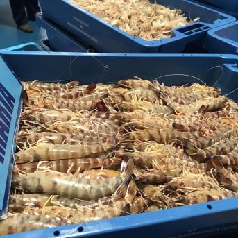 fotonoticia_20251208101126_1920