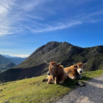 fotonoticia_20251208132452_1920