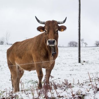 fotonoticia_20251209134719_1920 fotonoticia_20251209134719_1920