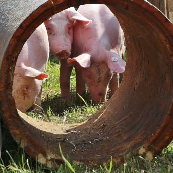 fotonoticia_20251209142551_1920