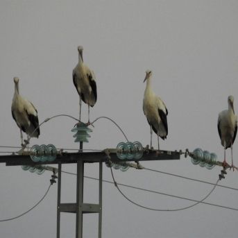 fotonoticia_20251209175457_1920 fotonoticia_20251209175457_1920