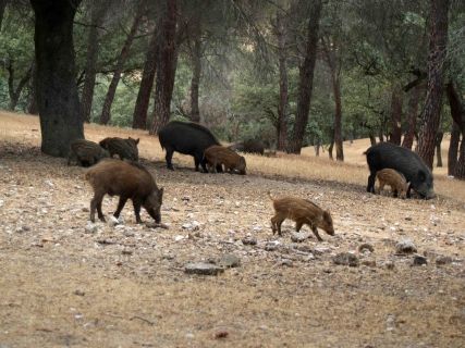 fotonoticia_20251210181234_1920