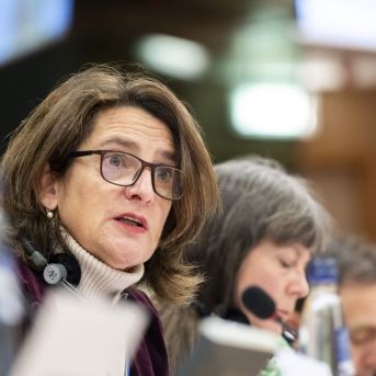 EP-195821A_ECON_Ribear