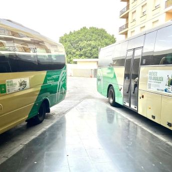 fotonoticia_20251211093911_1920