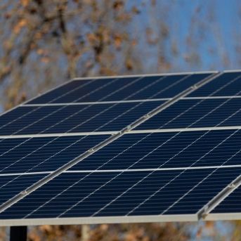 fotonoticia_20251211121218_1920 fotonoticia_20251211121218_1920