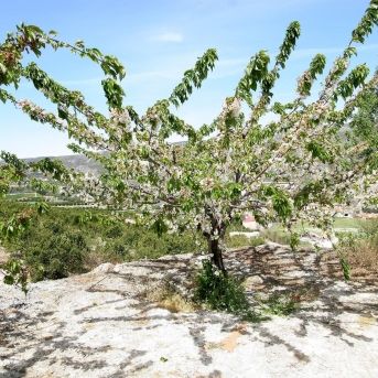 fotonoticia_20251211121701_1920