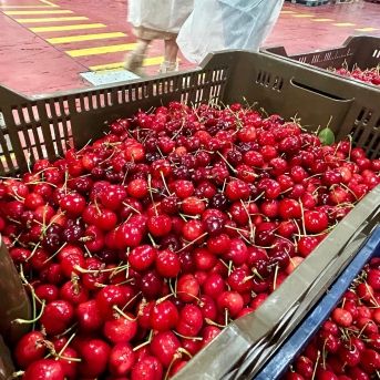 fotonoticia_20251211144310_1920