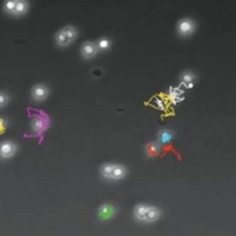 fotonoticia_20251212132712_1920