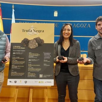 fotonoticia_20251212142900_1920 fotonoticia_20251212142900_1920