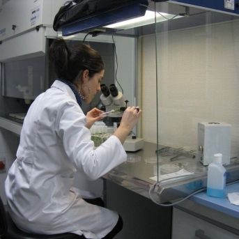 fotonoticia_20251212144936_1920