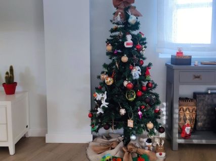 fotonoticia_20251212172013_1920