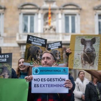 fotonoticia_20251213125144_1920 fotonoticia_20251213125144_1920