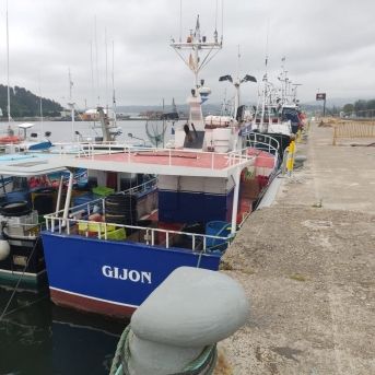 fotonoticia_20251213133334_1920 fotonoticia_20251213133334_1920