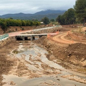 fotonoticia_20251213143352_1920 fotonoticia_20251213143352_1920