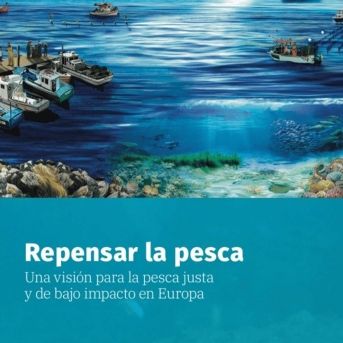 fotonoticia_20251213151244_1920 fotonoticia_20251213151244_1920