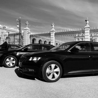 fotonoticia_20251214124150_1920 fotonoticia_20251214124150_1920