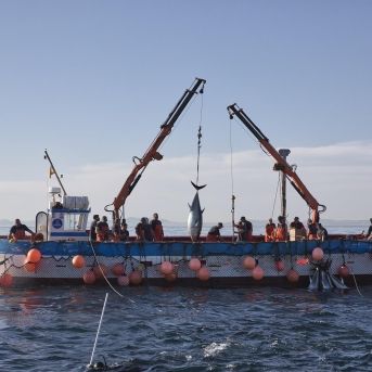 fotonoticia_20251214144119_1920 fotonoticia_20251214144119_1920