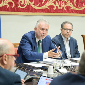 El Parlamento canario descarta citar de nuevo a Torres en la comisión tras el informe de la UCO