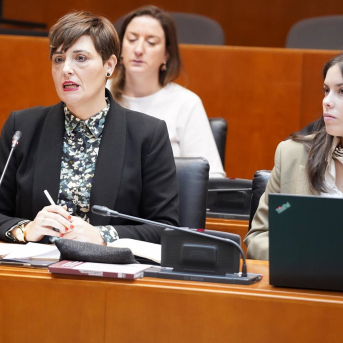 Las Cortes de Aragón plantean un plan específico para impulsar la artesanía como salida profesional