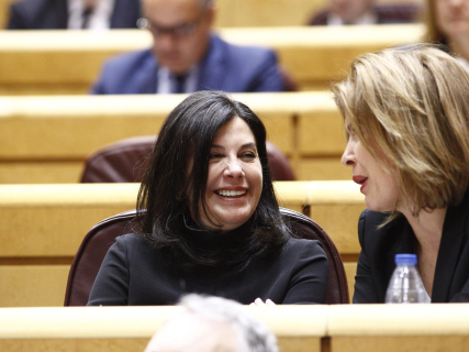 Senadora del PP llama okupa a Sánchez en el Senado