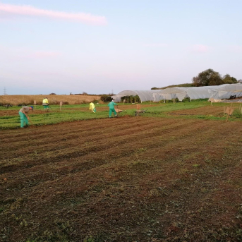 El CIFA lanza los cursos de inicio a la actividad agraria para 2026 El CIFA lanza los cursos de inicio a la actividad agraria para 2026