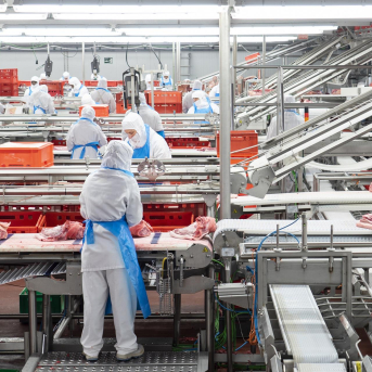 Dos firmas aragonesas obtendrán 2 millones de los 25 repartidos por el Gobierno en el Perte Agro Dos firmas aragonesas obtendrán 2 millones de los 25 repartidos por el Gobierno en el Perte Agro