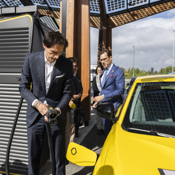 P 067783 00 01 01 ORIGINAL 595019