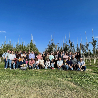 Especialistas de 14 países comparten en Girona los últimos avances contra Xylella fastidiosa en el proyecto europeo BeXyl