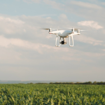 CaixaBank lanza en Facilitea un catálogo a medida para empresas agroalimentarias