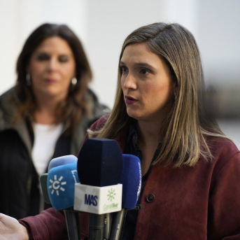 PSOE-A afirma que el último presupuesto de la legislatura evidencia privatización, mentiras y corrupción del PP-A