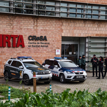 Paneque reclama prudencia sobre el origen de la PPA tras el registro policial en el IRTA-CReSA Paneque reclama prudencia sobre el origen de la PPA tras el registro policial en el IRTA-CReSA