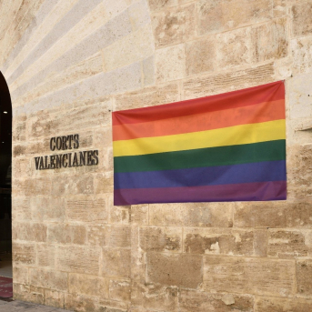 Colectivos LGTBIQA+ denuncian un grave retroceso democrático por suprimir la comisión LGTBI en Les Corts Colectivos LGTBIQA+ denuncian un grave retroceso democrático por suprimir la comisión LGTBI en Les Corts