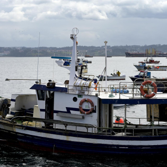 El Parlamento Europeo reclama un plan común para renovar la flota pesquera y avanzar en la descarbonización