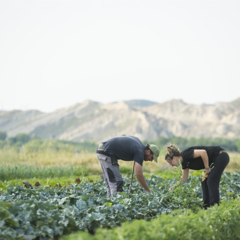 Entra en vigor en Andalucía la primera ley autonómica para impulsar la producción ecológica
