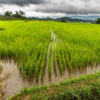 El Govern destina 5,1 millones en ayudas para conservar y mejorar las zonas húmedas