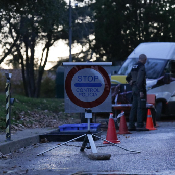 Detectado otro jabalí con PPA dentro del perímetro del primer foco