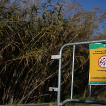 El nuevo caso de PPA en Sant Cugat no altera el perímetro de máximo riesgo El nuevo caso de PPA en Sant Cugat no altera el perímetro de máximo riesgo