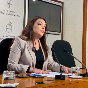 Vox ve en la negativa del Gobierno a suprimir el peaje del Huerna la confirmación de su abandono de Asturias Vox ve en la negativa del Gobierno a suprimir el peaje del Huerna la confirmación de su abandono de Asturias