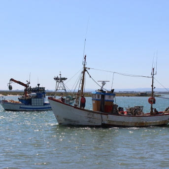 La Junta lanza 4,7 millones en ayudas por las paradas temporales de la flota pesquera andaluza