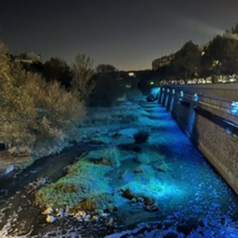 Colectivos ecologistas impugnan la nueva iluminación del Manzanares en Madrid Río por daño a especies protegidas