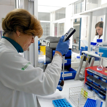 El laboratorio agroalimentario de Santander celebra 50 años como referente en el control de calidad alimentaria El laboratorio agroalimentario de Santander celebra 50 años como referente en el control de calidad alimentaria