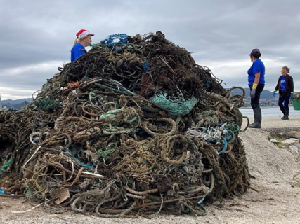 La Xunta lanzará ayudas de 1,3 millones para retirar algas que pongan en riesgo los bancos marisqueros