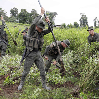 Colombia reanuda con drones la fumigación con glifosato de cultivos ilegales