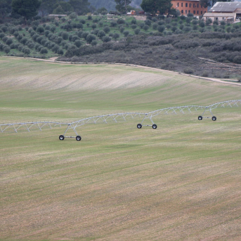 Agricultura y Seiasa elevan a 96,8 millones el convenio para modernizar regadíos con una obra en Castilla-La Mancha