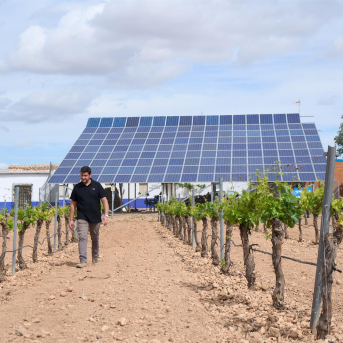 Castilla-La Mancha abre hasta el 5 de marzo las ayudas 2026 para jóvenes agricultores y modernización de explotaciones