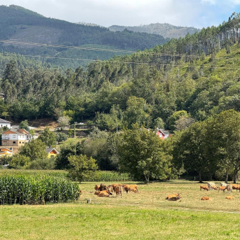 COAG Asturias defiende que su estudio de Incorpórate al Agro se apoya en cifras oficiales COAG Asturias defiende que su estudio de Incorpórate al Agro se apoya en cifras oficiales