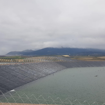 Seiasa invertirá 8,5 millones en modernizar regadíos en Úbeda, Torreblascopedro y Pozo Alcón