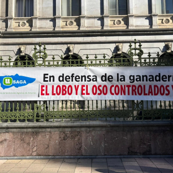 Usaga augura un 2025 muy complicado para la ganadería asturiana por la fauna salvaje y los problemas sanitarios